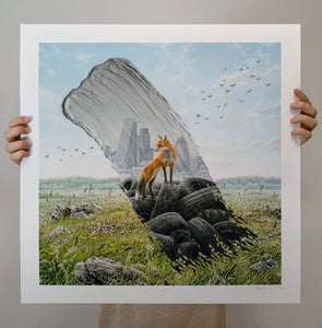 Stray - Limited Edition Print